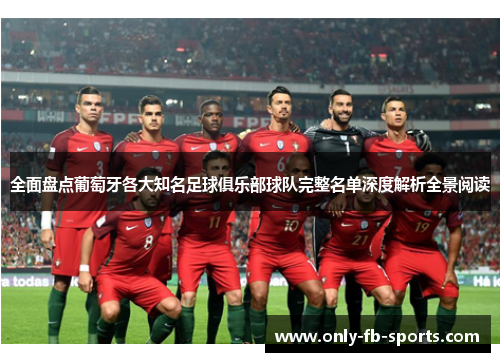 全面盘点葡萄牙各大知名足球俱乐部球队完整名单深度解析全景阅读