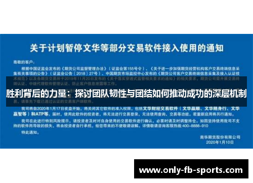 胜利背后的力量：探讨团队韧性与团结如何推动成功的深层机制